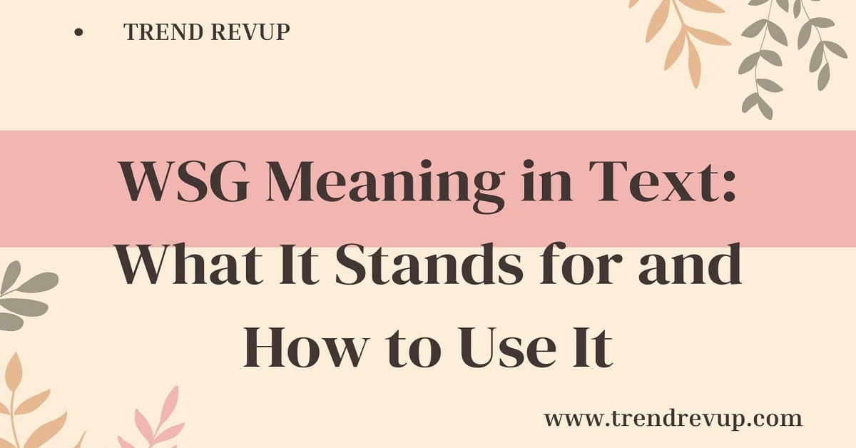 WSG Meaning in Text