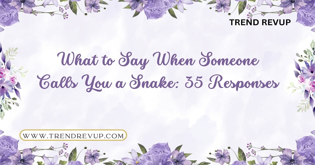 Read more about the article What to Say When Someone Calls You a Snake: 35 Responses